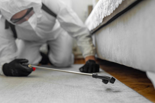 Professional Termite Control technician working in Henderson, TX